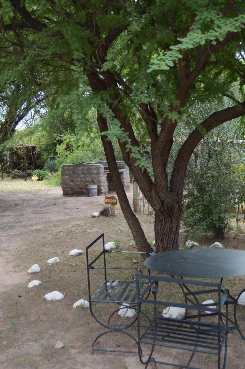 Villa El Zorro Gris Tinogasta Exterior foto