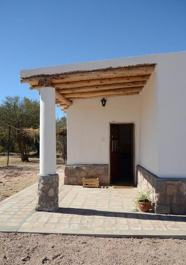 Villa El Zorro Gris Tinogasta Zimmer foto